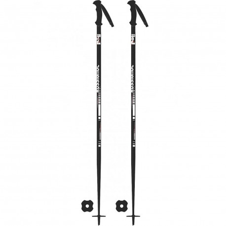 SKI POLES SCAN JR