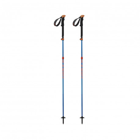 BATONS DE SKI POLE CASCADE