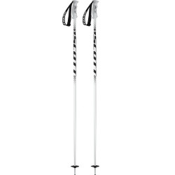 BATONS DE SKI POLE 540