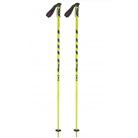 SKI POLES TEAM ISSUE GREEN