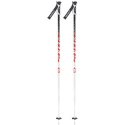 BATONS DE SKI PUNISHER WHITE