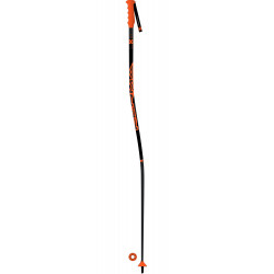 BATONS DE SKI SPEED GS-SG SR