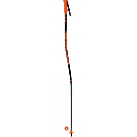 BATONS DE SKI SPEED GS-SG SR