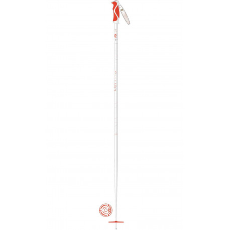 SKI POLES ELITE ALU