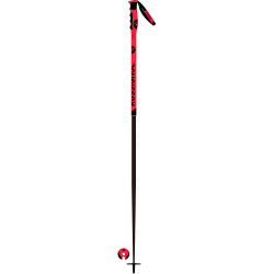 BATONS DE SKI HERO CAK