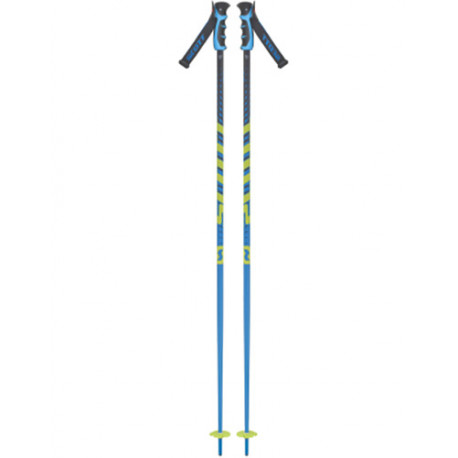 BATONS DE SKI PUNISHER BLUE