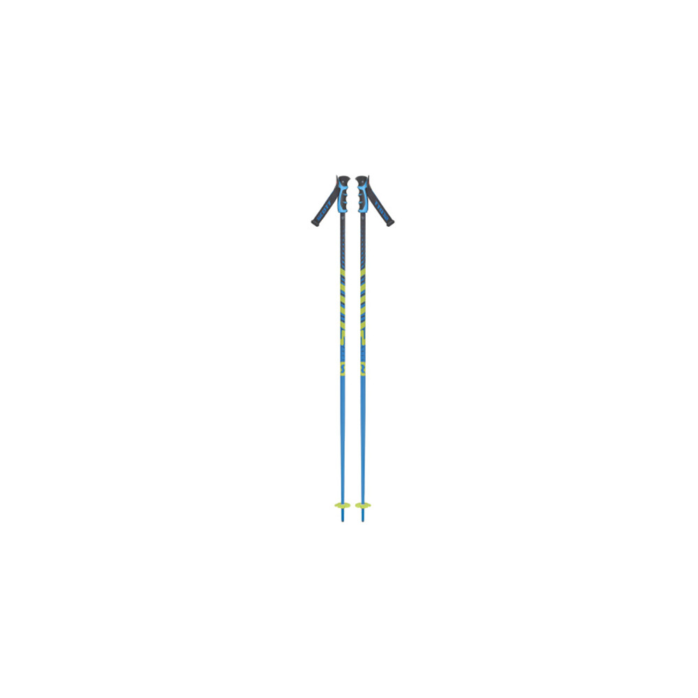 SKI POLES PUNISHER BLUE