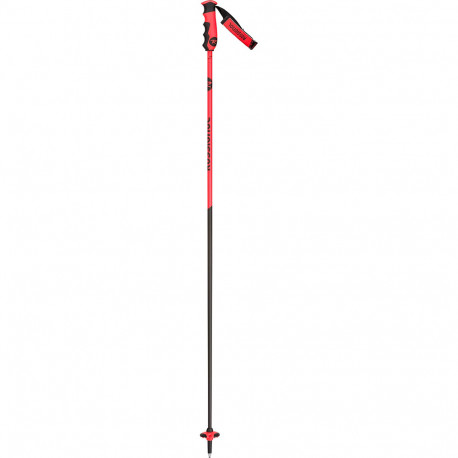 SKI POLES HERO CARBON