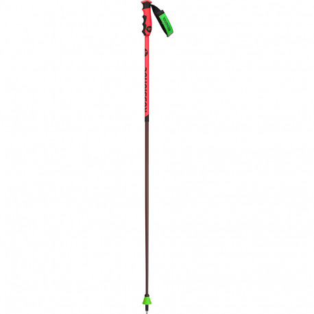 SKI POLES HERO CAK GO GREEN