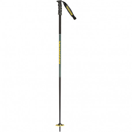 SKI POLES FREERIDE PRO SAFETY