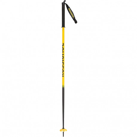 BATONS DE SKI FAT PRO - POV BATONS DE SKI FAT PRO - POV