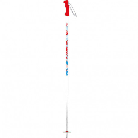 BATONS DE SKI SUPER ROOSTIE