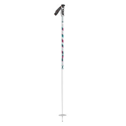 SKI POLES TEAM ISSUE WHITE