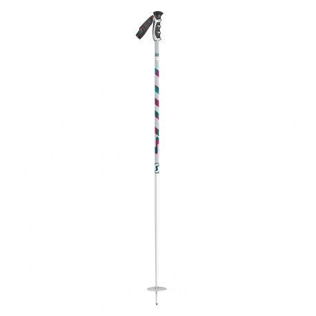 BATONS DE SKI TEAM ISSUE WHITE