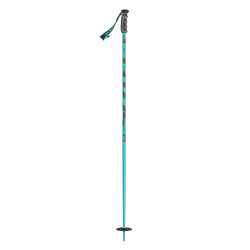 BATONS DE SKI PUNISHER BLUE