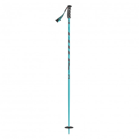 SKI POLES PUNISHER BLUE SKI POLES PUNISHER BLUE