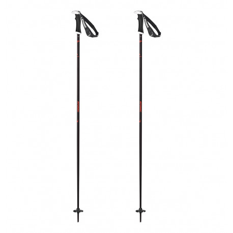 BATONS DE SKI AMT SQS W GREY/RED