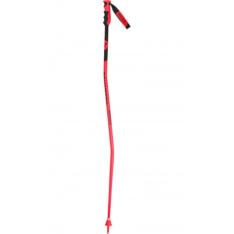 SKI POLES HERO GS-SG