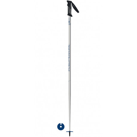 SKI POLES VECTOR GREY