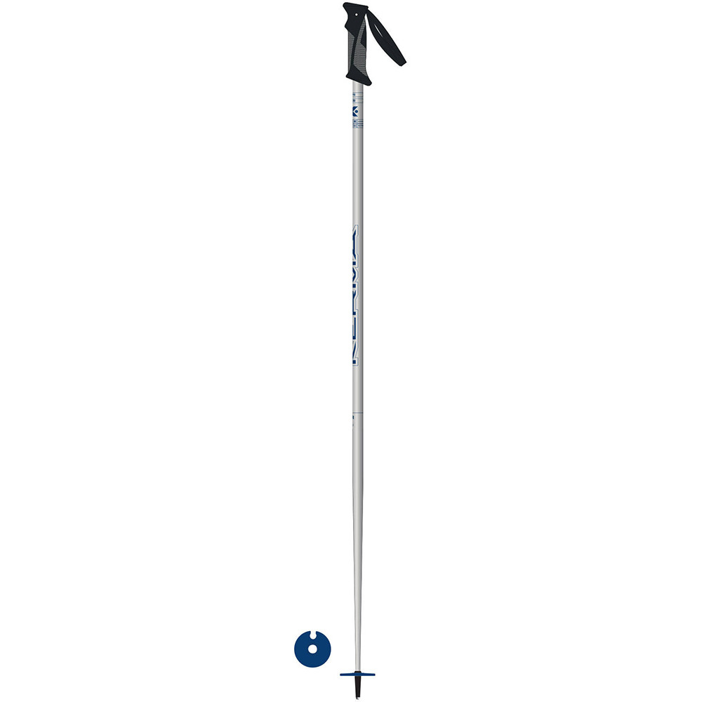 SKI POLES VECTOR GREY