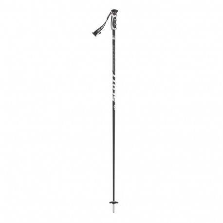 SKI POLES PRO TAPER SRS