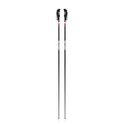 BATONS DE SKI CANDIDE BLACK