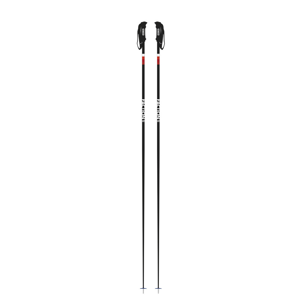 BATONS DE SKI CANDIDE BLACK