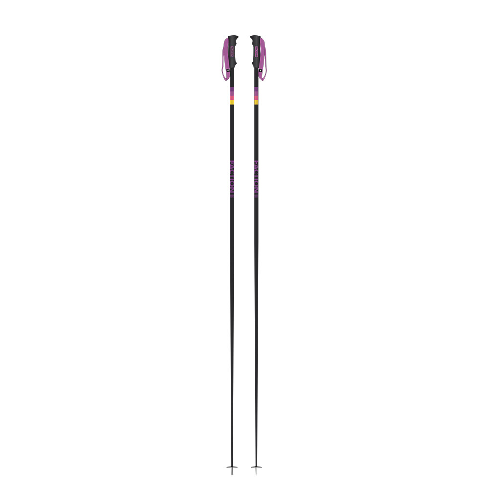 BATONS DE SKI CANDIDE PURPLE