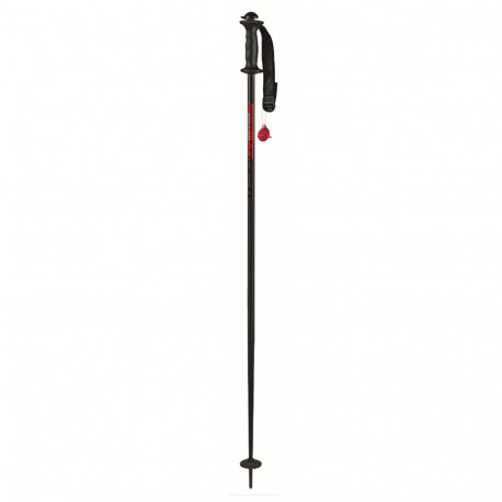 BATONS DE SKI SCHNAPS BATONS DE SKI SCHNAPS