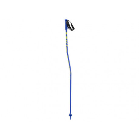 BATONS DE SKI S/RACE SG BLUE