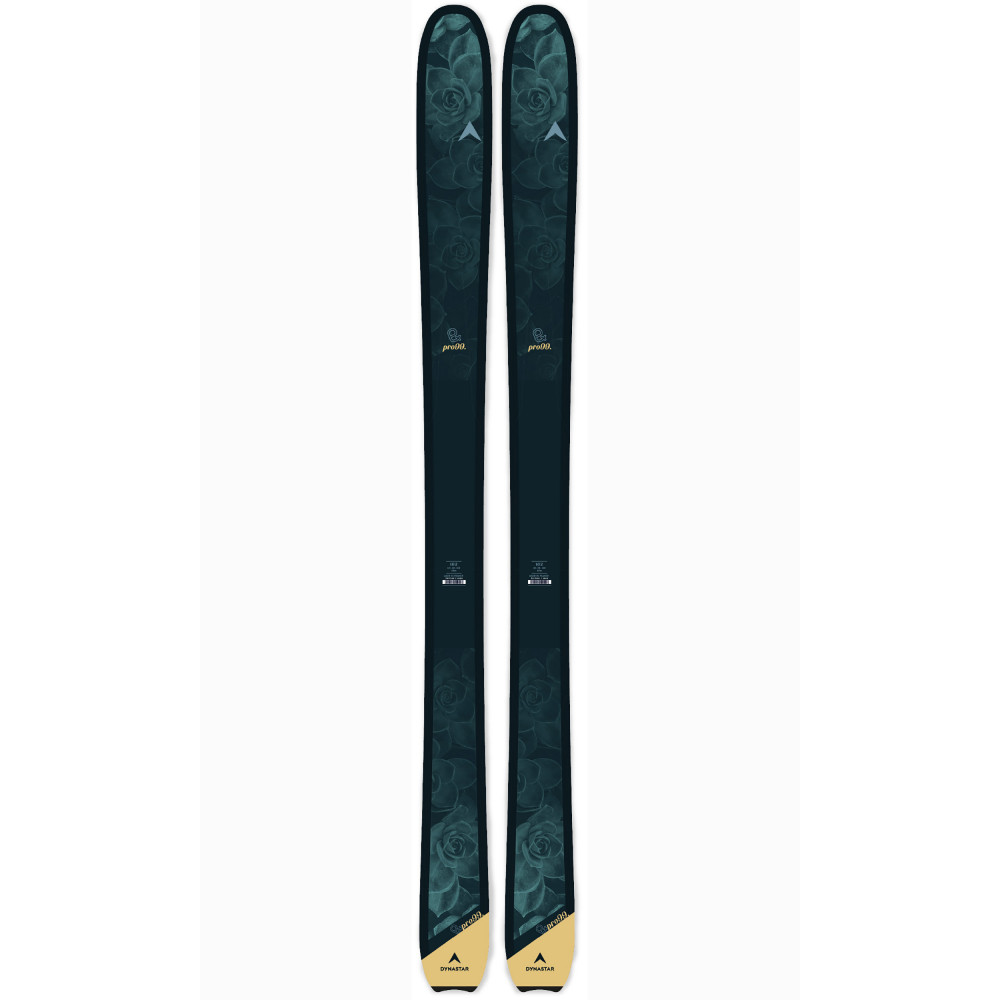 SKI E-PRO 99