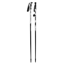 SKI POLES RENTAL POLES