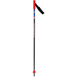 BATONS DE SKI SPEED GS-SG JR