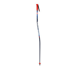 BATONS DE SKI SPEED GS-SG SR