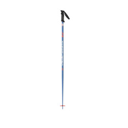 BATONS DE SKI SPEED 