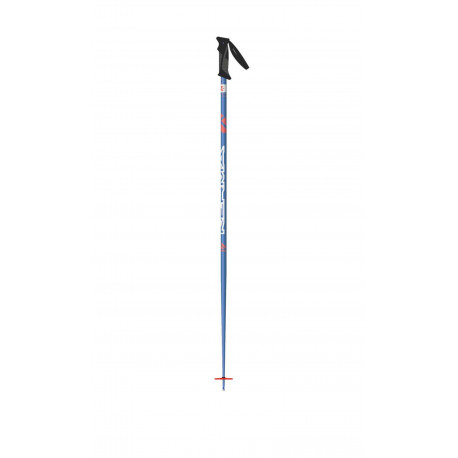 BATONS DE SKI SPEED 