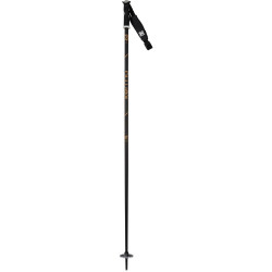 SKI POLES ELITE 4 BLACK