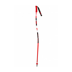 BATONS DE SKI GS SKI POLE SENIOR