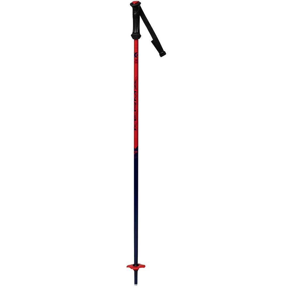 SKI POLES VECTOR TEAM