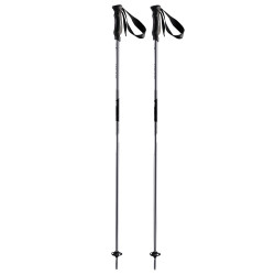 BATONS DE SKI JOY BLACK SILVER