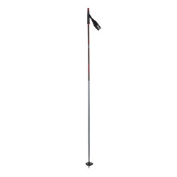 BATONS NORDIQUE FT-600