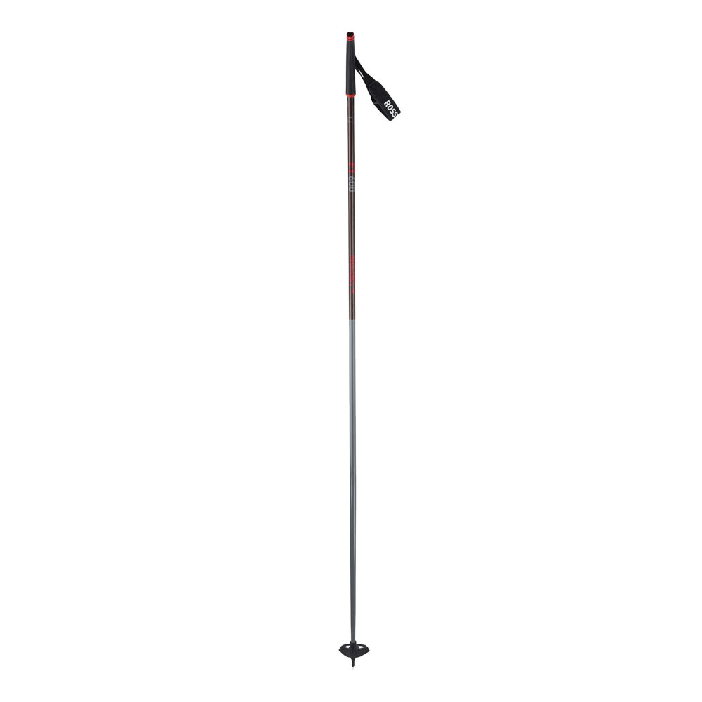 BATONS NORDIQUE FT-600