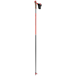 NORDIC POLES WCS - FREE SIZES