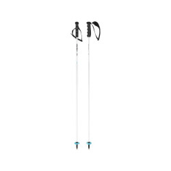 SKISTÖCKE WORLDCUP REBELS CARBON WHITE