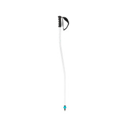 SKI POLES WORLDCUP SG