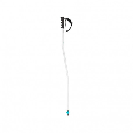 SKI POLES WORLDCUP SG