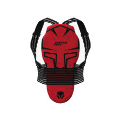 PROTECCION DE ESPALDA WARRIOR JR