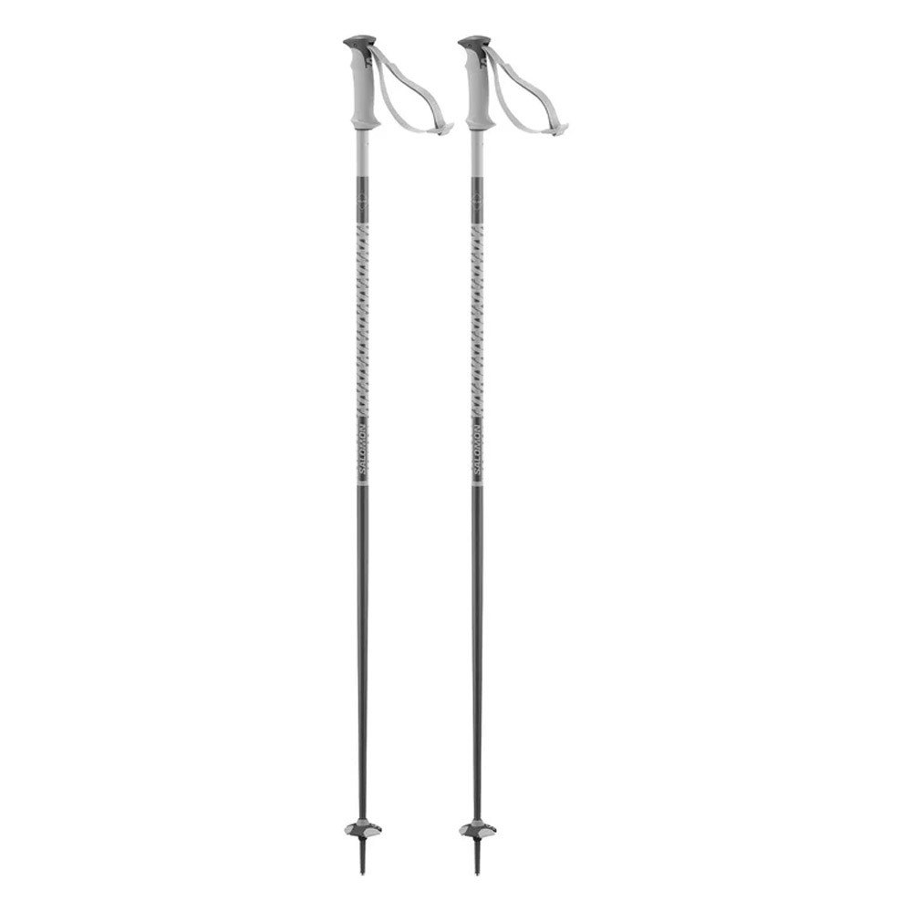 SKI POLES POLAR GREY VIOLET