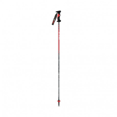 SKI POLES SLALOM CARBONE