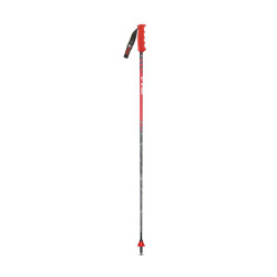 SKI POLES NEW GEANT
